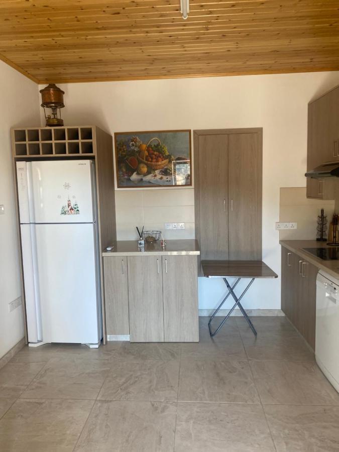 Theonikoshouse Apartment Agros Luaran gambar